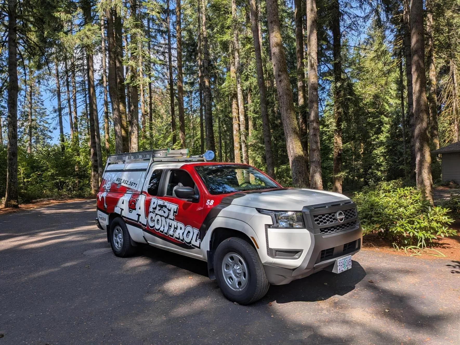 An A&A Pest Control truck parked on a driveway in a forest of tall evergreens