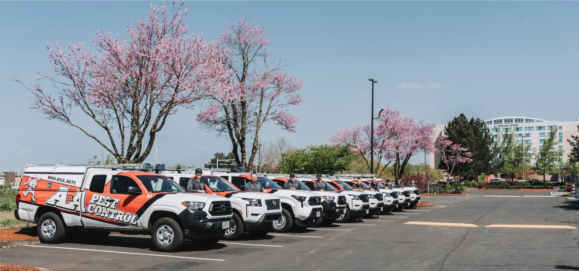 The A&A Pest Control technicians standing beside their lineup of service trucks in a parking lot under blossoming trees