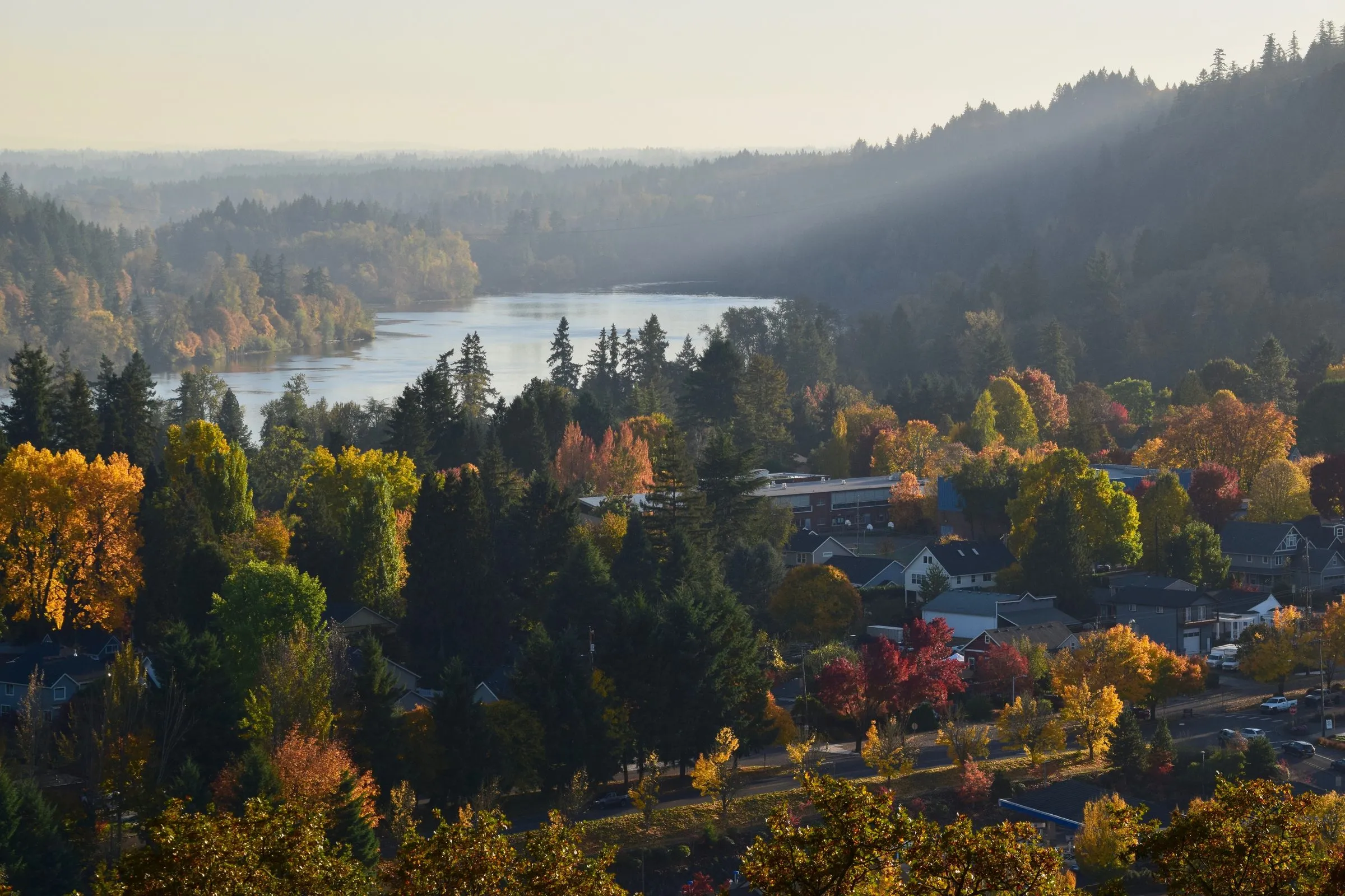 A view over a lake and forested hills in West Linn, Oregon, in the morning light